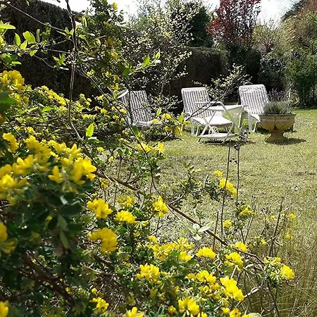 Bed & Breakfast Les Mesanges *